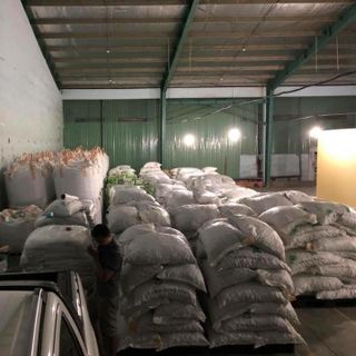 QUẢ ÓC CHÓ BAO 25KG HÀNG XÁ