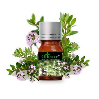 Tinh dầu xạ hương thyme bán sỉ buôn lít giá sỉ