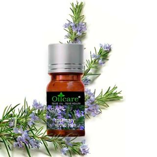 Tinh dầu hương thảo rosemary bán lít sỉ buôn giá sỉ