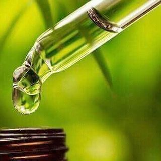 phân phối sỉ lẻ tinh dầu bơ thanh tâm