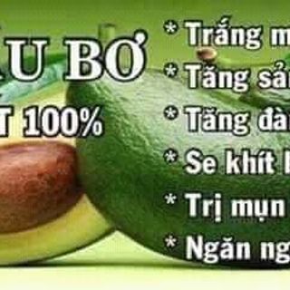 phân phối sỉ lẻ tinh dầu bơ thanh tâm