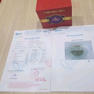 Tiêu viêm Nữ cty Cổ Phần Quốc Tế Hoàng Sơn