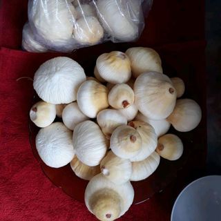mộng dừa - đặc sản ăn vặt Bến Tre