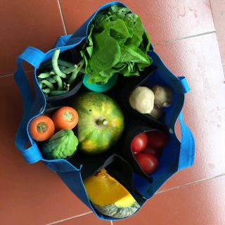 túi vải đi chợ