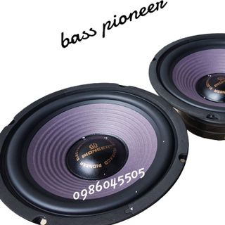 loa bass pioneer 25 tấc