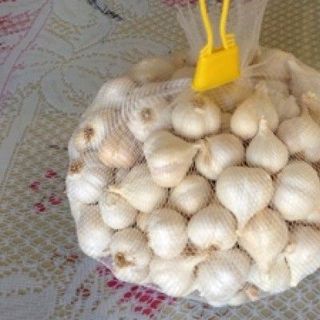 Tỏi Lý Sơn