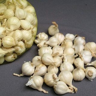 Tỏi Lý Sơn