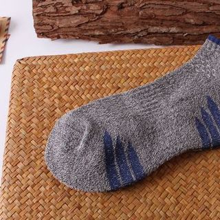 Tất nam thể hình kẻ cổ ngắn Nhật Bản
