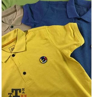 Áo Thun Cá Sấu LoGo Nổi Vip Cotton 65/35 Đẹp