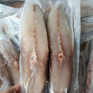 Cá Thu 1 Nắng