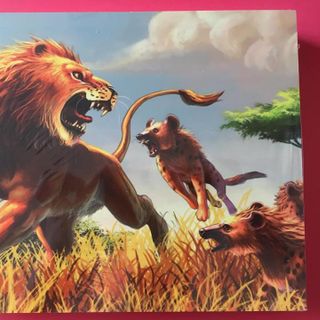 Ghép hình Puzzle tổng hợp 12-24-36-42 miếng