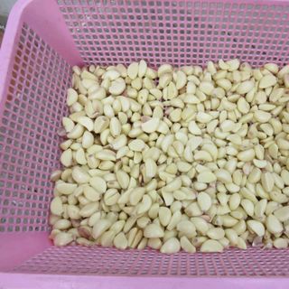 tỏi bóc vỏ