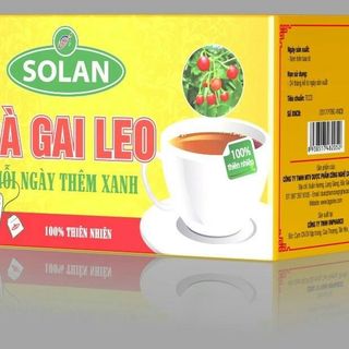 Trà Cà Gai Leo Solan