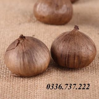 Tỏi Đen Một Nhánh Nhật Bản