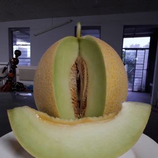 Dưa lưới hữu cơ-VietGap