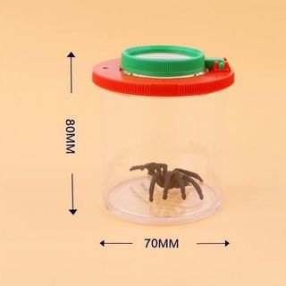 Hộp quan sát Côn Trùng