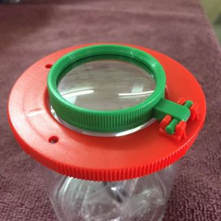 Hộp quan sát Côn Trùng