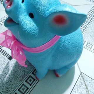 Heo đất siêu dễ thương