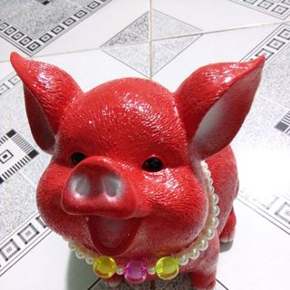 Heo đất siêu dễ thương