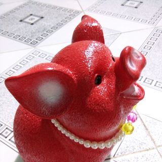 Heo đất siêu dễ thương