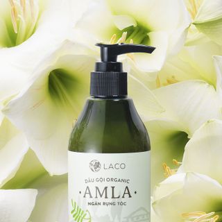 Dầu Gội Hữu Cơ Trị Rụng Tóc Amla - 210000đ
