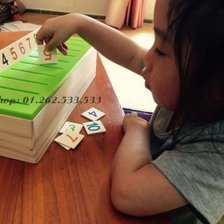 Hộp phân loại nhiều chủ đề- Chichida