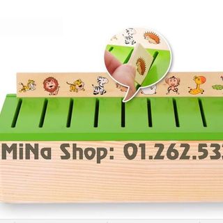 Hộp phân loại nhiều chủ đề- Chichida