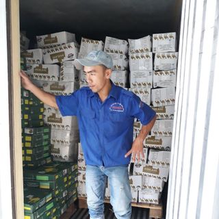 CHÀ LÀ NGUYÊN CÀNH TUNISIA 500g