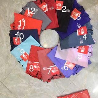 áo gió 2 lớp tnf