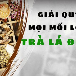 TRÀ LÁ ĐU ĐỦ CHO NGƯỜI BỆNH TRĨ VÀ TÁO BÓN