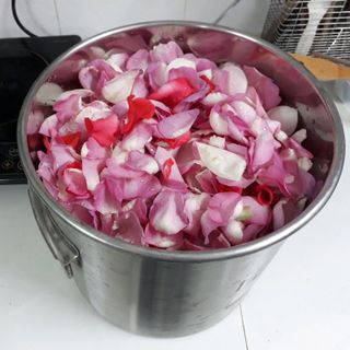 TONER HOA HỒNG KHÔNG CỒN