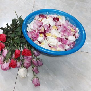 TONER HOA HỒNG KHÔNG CỒN