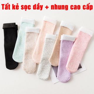 Tất kẻ sọc dầy nhung giá sỉ