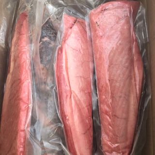 LƯỜN CÁ NGỪ ĐẠI DƯƠNG