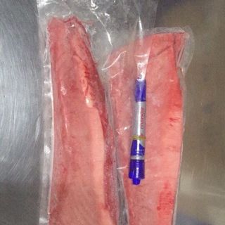 LƯỜN CÁ NGỪ ĐẠI DƯƠNG