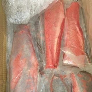 LƯỜN CÁ NGỪ ĐẠI DƯƠNG