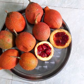 Tinh dầu Gấc