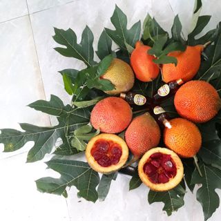 Tinh dầu Gấc