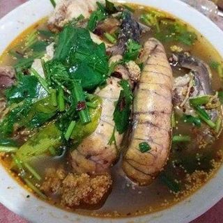 TRỨNG CÁ NGỪ ĐẠI DƯƠNG