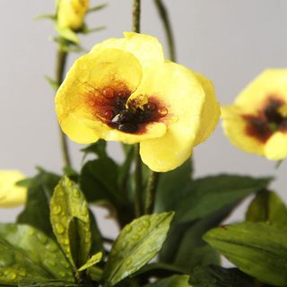 hoa thủ công đà lạt