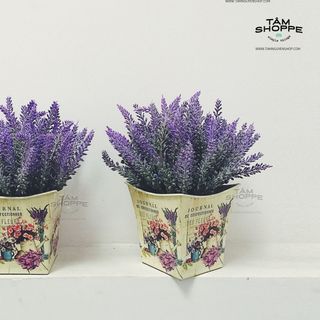 Chậu hoa Vintage Lavender No22 giá sỉ