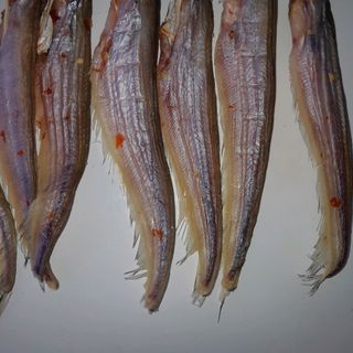 KHÔ CÁ KẾT