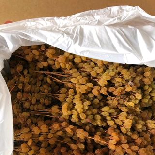 Nho khô nguyên cành Úc 330k/ kg