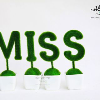 Bộ chậu cây chữ MISS giá sỉ