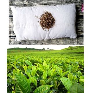 Gối ngủ thảo dược trà Olong