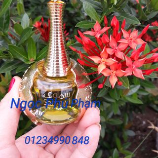 SAMAWI TINH DẦU NỘI ĐỊA DUBAI