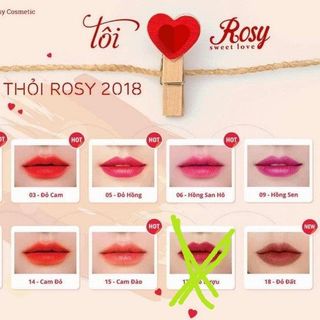 SON ROSY 11 MÀU