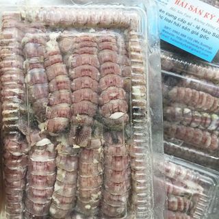 Thịt Tôm Tít Giá Sỉ