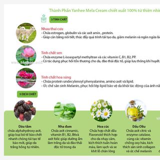 Kem trị Nám - Tàn Nhang - Đồi Mồi - YANHEE CREAM LORG FA - 20gram
