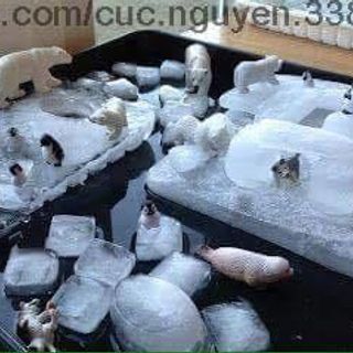 Bộ mô hình Chim Cánh Cụt Safari